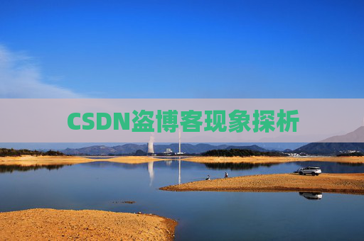 CSDN盗博客现象探析